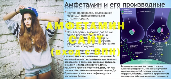 сатива Аркадак
