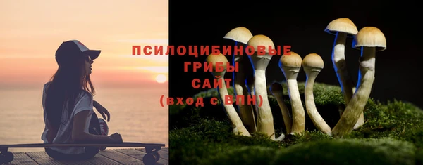 сатива Аркадак