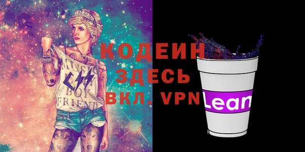 спиды Вяземский