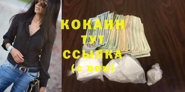 сатива Аркадак