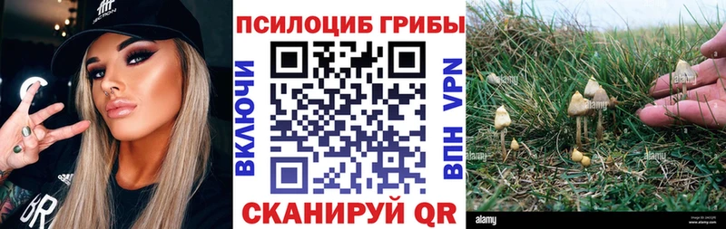 omg ONION  Таштагол  Псилоцибиновые грибы Psilocybe  где купить наркотик 